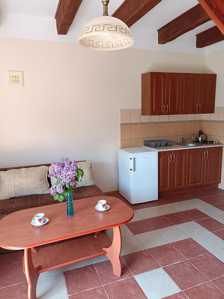 Apartamenty "Anusia" Ledzin Екстер'єр фото