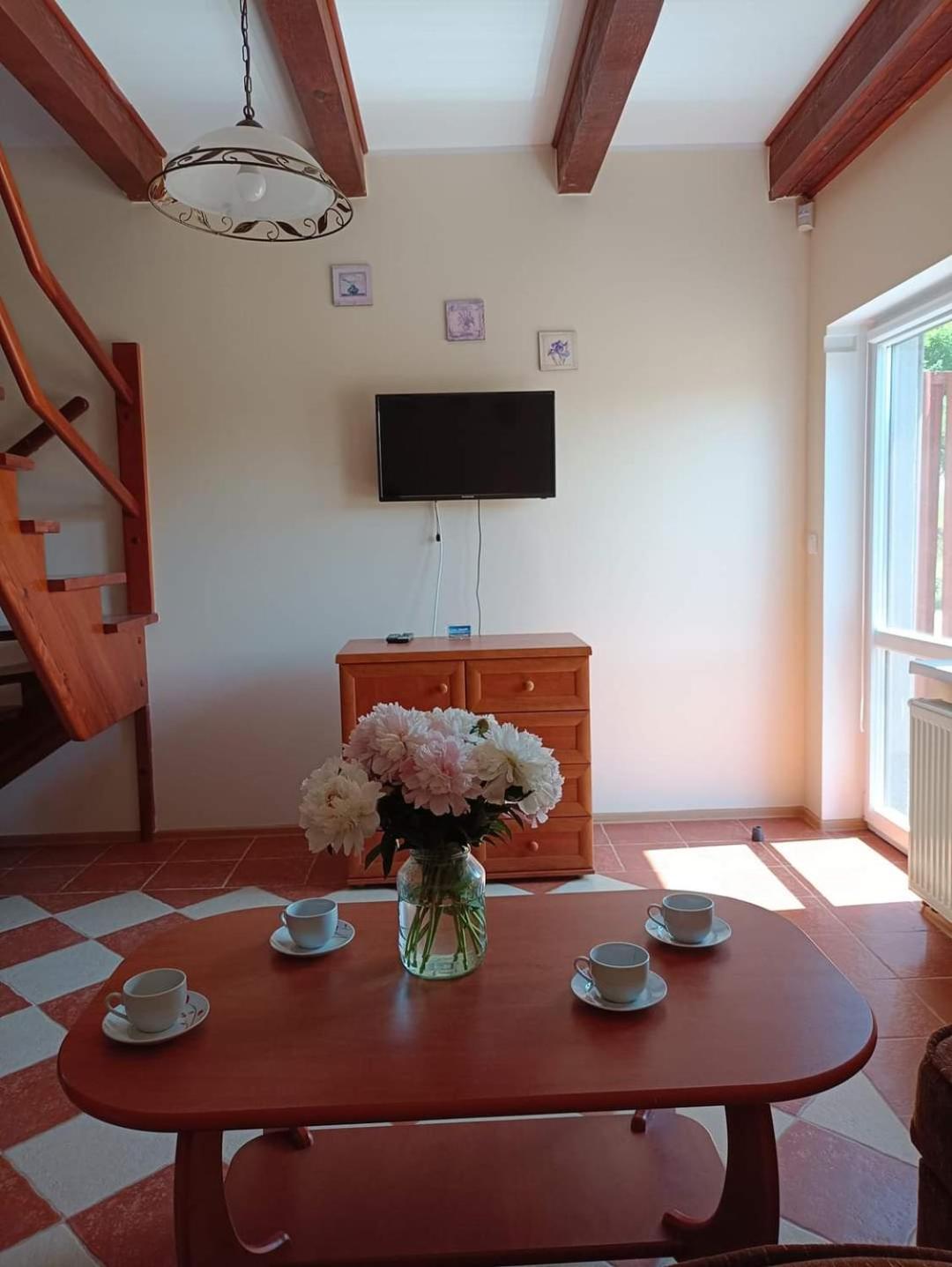 Apartamenty "Anusia" Ledzin Екстер'єр фото