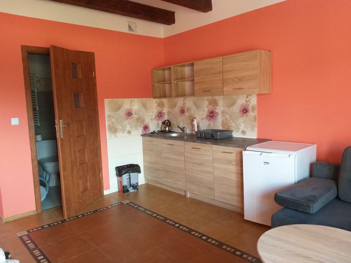 Apartamenty "Anusia" Ledzin Екстер'єр фото