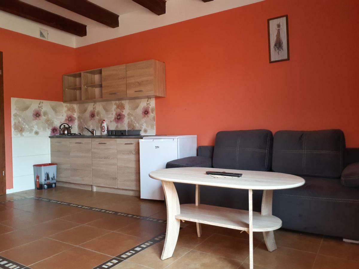Apartamenty "Anusia" Ledzin Екстер'єр фото